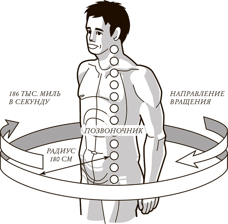 Иллюстрация к книге — Жизнь: зарядное устройство. Скрытые возможности вашего организма [Autogen_eBook_id8.jpg]