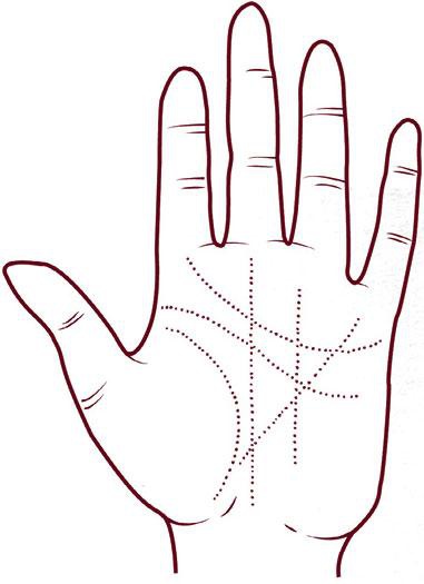 Иллюстрация к книге — Отражение судьбы [_26.jpg]