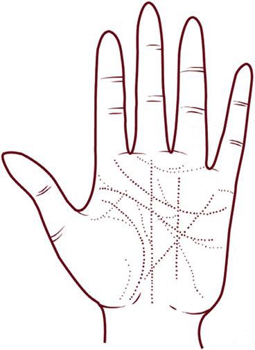 Иллюстрация к книге — Отражение судьбы [_29.jpg]