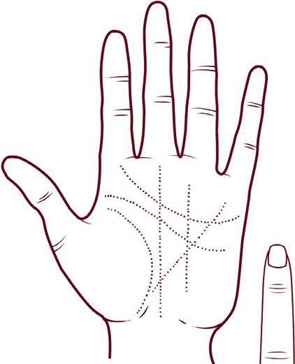 Иллюстрация к книге — Отражение судьбы [_30.jpg]