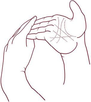 Иллюстрация к книге — Отражение судьбы [_32.jpg]