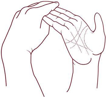 Иллюстрация к книге — Отражение судьбы [_33.jpg]