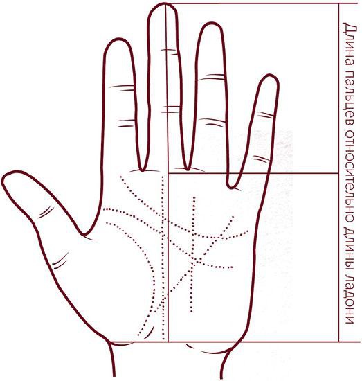 Иллюстрация к книге — Отражение судьбы [_35.jpg]