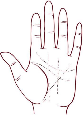 Иллюстрация к книге — Отражение судьбы [_44.jpg]