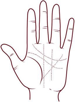 Иллюстрация к книге — Отражение судьбы [_46.jpg]