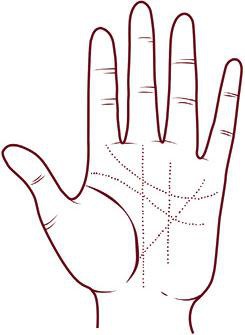 Иллюстрация к книге — Отражение судьбы [_49.jpg]