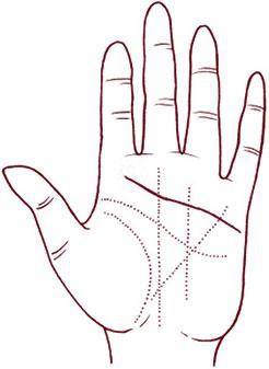 Иллюстрация к книге — Отражение судьбы [_54.jpg]