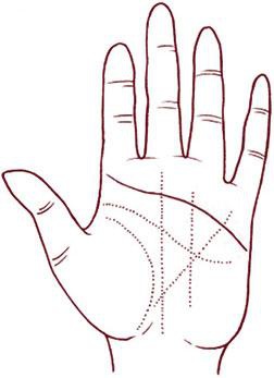 Иллюстрация к книге — Отражение судьбы [_55.jpg]