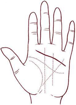 Иллюстрация к книге — Отражение судьбы [_57.jpg]