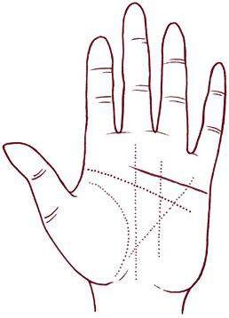 Иллюстрация к книге — Отражение судьбы [_59.jpg]