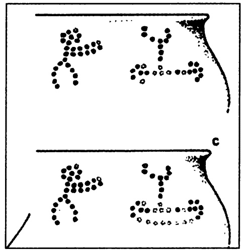 Иллюстрация к книге — Битва у Варяжских столпов [i_023.jpg]