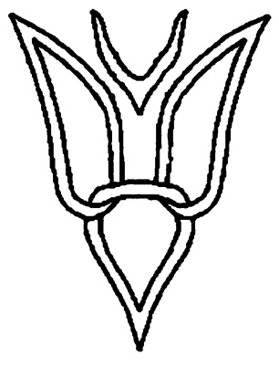 Иллюстрация к книге — Одиссея варяжской Руси [i_027.jpg]