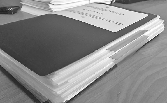 Иллюстрация к книге — Госслужба на 100 %. Как все устроено [i_024.jpg]