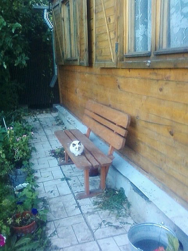 Иллюстрация к книге — Невская маскарадная (сборник) [i_001.jpg]