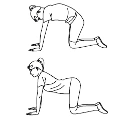 Иллюстрация к книге — Восстанавливающая гимнастика для сосудов [i_164.jpg]