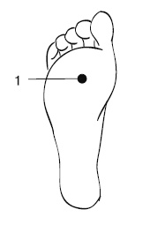 Иллюстрация к книге — Лечебный массаж внутренних органов [Autogen_eBook_id11.jpg]
