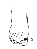 Иллюстрация к книге — Лечебный массаж внутренних органов [Autogen_eBook_id12.jpg]