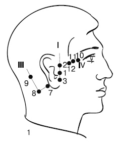 Иллюстрация к книге — Лечебный массаж внутренних органов [Autogen_eBook_id15.jpg]