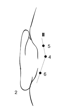 Иллюстрация к книге — Лечебный массаж внутренних органов [Autogen_eBook_id16.jpg]