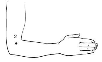 Иллюстрация к книге — Лечебный массаж внутренних органов [Autogen_eBook_id18.jpg]