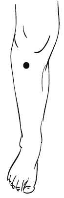 Иллюстрация к книге — Лечебный массаж внутренних органов [Autogen_eBook_id3.jpg]