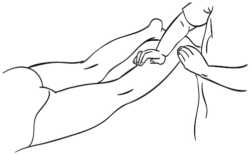 Иллюстрация к книге — Лечебный массаж внутренних органов [Autogen_eBook_id47.jpg]