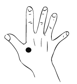 Иллюстрация к книге — Лечебный массаж внутренних органов [Autogen_eBook_id5.jpg]