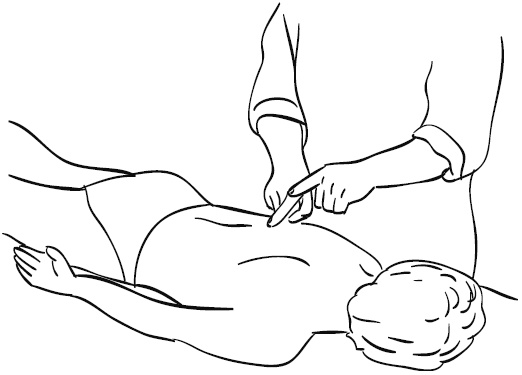 Иллюстрация к книге — Лечебный массаж внутренних органов [Autogen_eBook_id65.jpg]