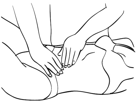 Иллюстрация к книге — Лечебный массаж внутренних органов [Autogen_eBook_id88.jpg]