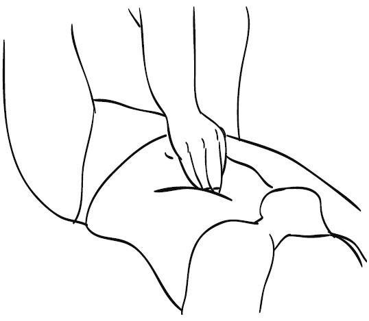 Иллюстрация к книге — Лечебный массаж внутренних органов [Autogen_eBook_id90.jpg]