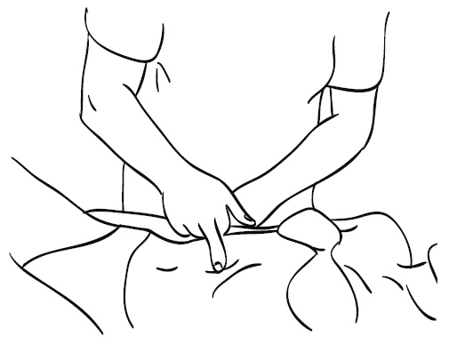 Иллюстрация к книге — Лечебный массаж внутренних органов [Autogen_eBook_id91.jpg]