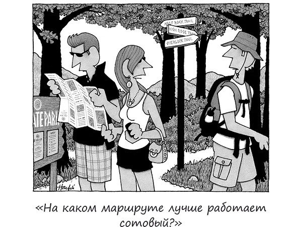 Иллюстрация к книге — Исчезающие носки, новогодние обещания и еще 97 загадок бытия [_18.jpg]
