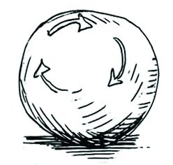 Иллюстрация к книге — Психология реальности [i_010.jpg]