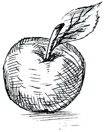 Иллюстрация к книге — Психология реальности [i_024.jpg]