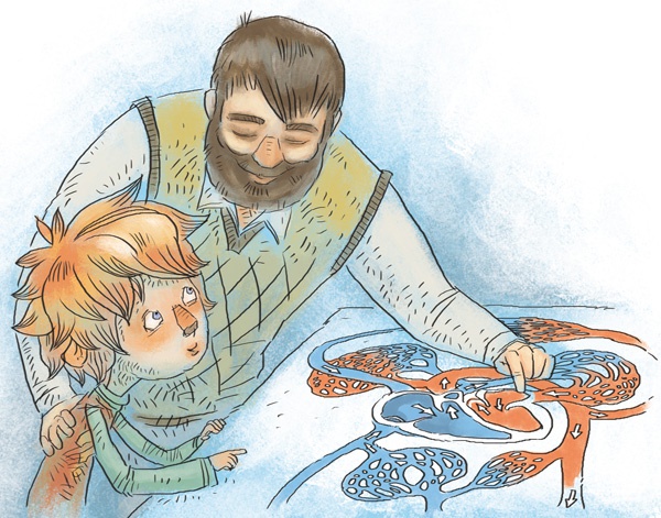 Иллюстрация к книге — Как устроен человек [i_018.jpg]