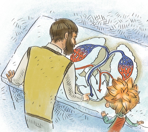 Иллюстрация к книге — Как устроен человек [i_021.jpg]