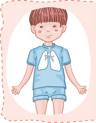 Иллюстрация к книге — Как устроен человек [i_027.jpg]