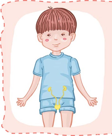 Иллюстрация к книге — Как устроен человек [i_046.jpg]