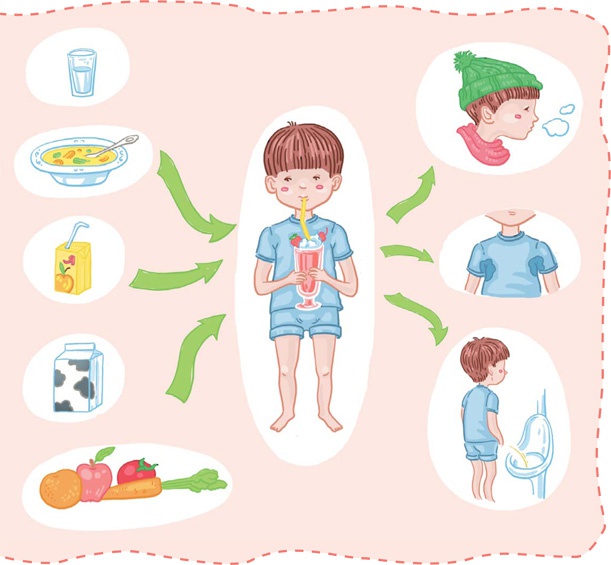 Иллюстрация к книге — Как устроен человек [i_047.jpg]