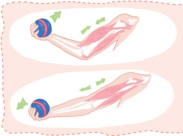 Иллюстрация к книге — Как устроен человек [i_053.jpg]