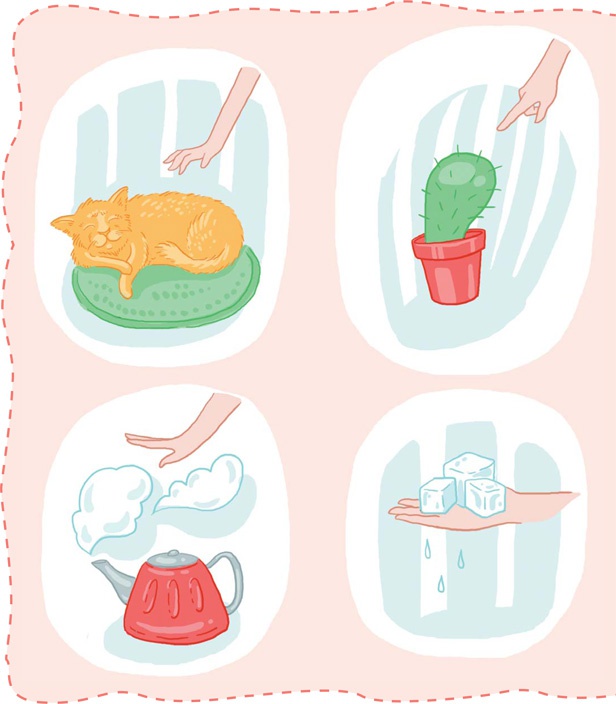 Иллюстрация к книге — Как устроен человек [i_065.jpg]