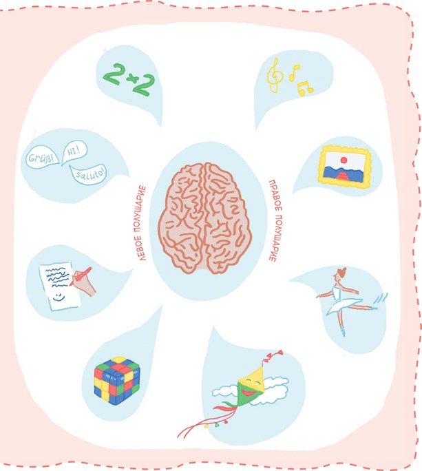 Иллюстрация к книге — Как устроен человек [i_070.jpg]