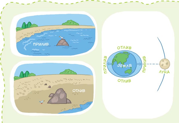 Иллюстрация к книге — Планета Земля [i_048.jpg]