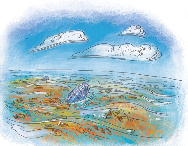 Иллюстрация к книге — Планета Земля [i_055.jpg]