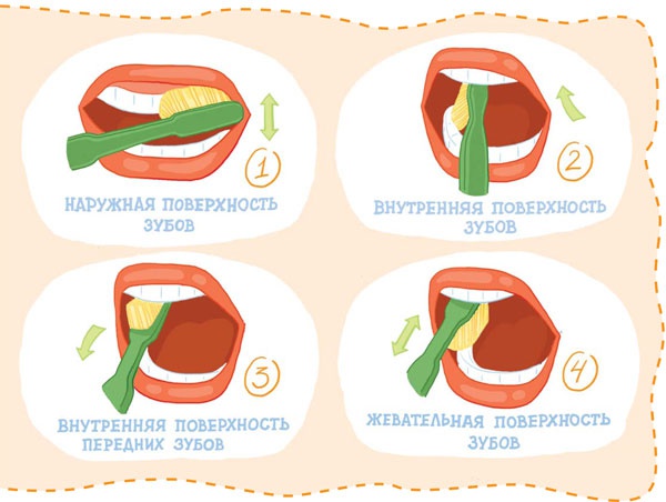 Иллюстрация к книге — Если хочешь быть здоров [i_023.jpg]