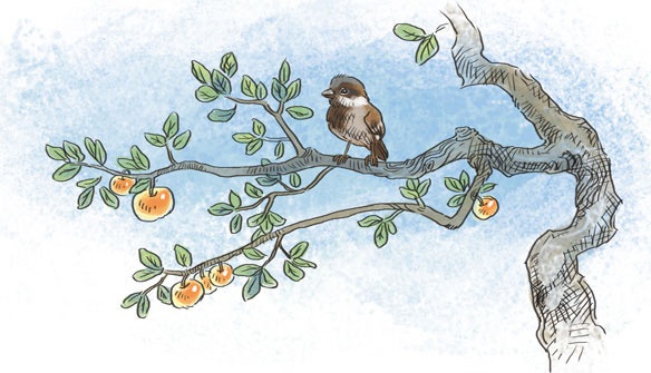 Иллюстрация к книге — Если хочешь быть здоров [i_024.jpg]