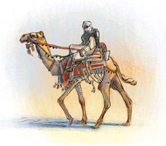 Иллюстрация к книге — Великие путешествия. Детские энциклопедии с Чевостиком [i_028.jpg]