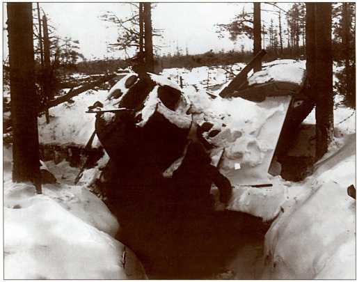 Иллюстрация к книге — Танки в Зимней войне [i_129.jpg]