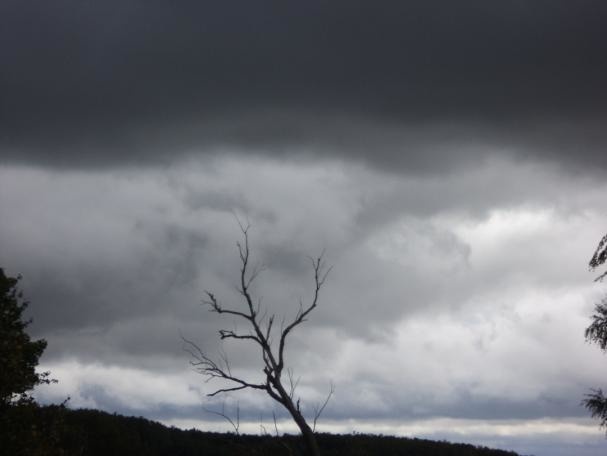 Иллюстрация к книге — Литературный агент [i_003.jpg]