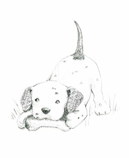 Иллюстрация к книге — Щенок Оскар, или Секрет счастливого Рождества [i_009.jpg]